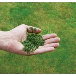 Einhell Benzin-Rasenmäher GC-PM 51/3 S HW-E 19 Einhell Benzin-Rasenmäher GC-PM 51/3 S HW-E -Gartenhilfe Deutschland Verkaufs-Shop 171 340487 2171 8073710 08