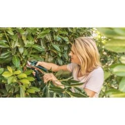 Bosch Akku-Gartenschere EasyPrune -Gartenhilfe Deutschland Verkaufs-Shop 2610319 3058 06
