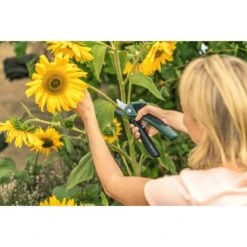 Bosch Akku-Gartenschere EasyPrune -Gartenhilfe Deutschland Verkaufs-Shop 2610319 3058 08