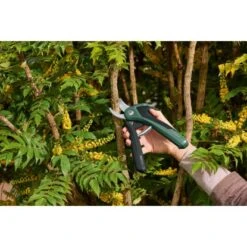 Bosch Akku-Gartenschere EasyPrune -Gartenhilfe Deutschland Verkaufs-Shop 2610319 3058 10