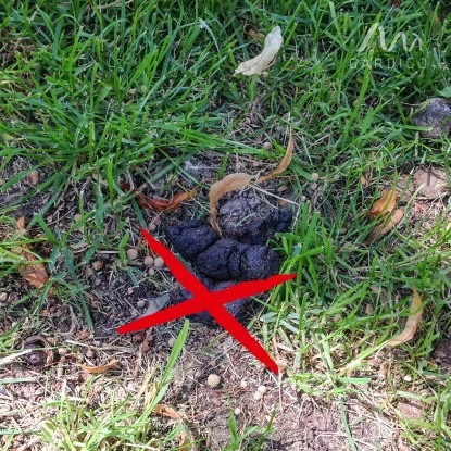 Gardigo Hunde-Katzen-Abwehr 9 Gardigo Hunde-Katzen-Abwehr – Bild 9