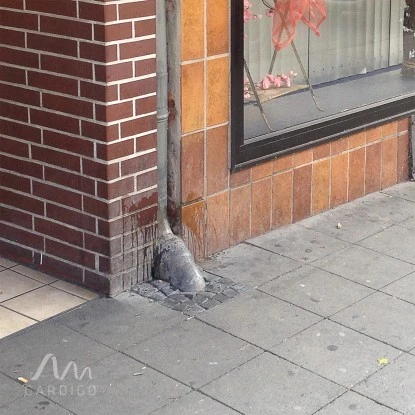 Gardigo Hunde-Katzen-Abwehr 15 Gardigo Hunde-Katzen-Abwehr – Bild 15