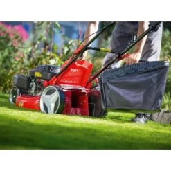 Trike-Rasenmäher B 51/TMA 60 L Fangkorb 2.900 W -Gartenhilfe Deutschland Verkaufs-Shop 4048122036251 A06 071118