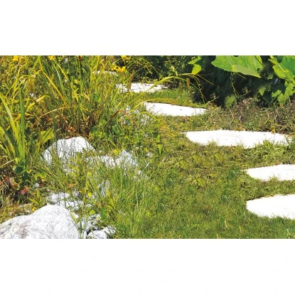 Einhell Akku-Gras- Und Strauchschere GC-CG 3,6 Li 7 Einhell Akku-Gras- Und Strauchschere GC-CG 3,6 Li – Bild 7