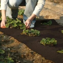 Winterschutz Kokosmatte Dunkelbraun 50 Cm X 150 Cm -Gartenhilfe Deutschland Verkaufs-Shop 711298 2332 3