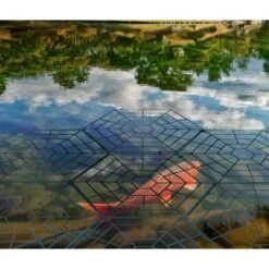 Gardigo Vogelschutzteichgitter 20er -Gartenhilfe Deutschland Verkaufs-Shop 795986 2272 3