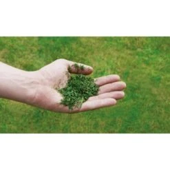 Einhell Benzin-Rasenmäher GC-PM 56/2 S HW -Gartenhilfe Deutschland Verkaufs-Shop 978003 2171 08